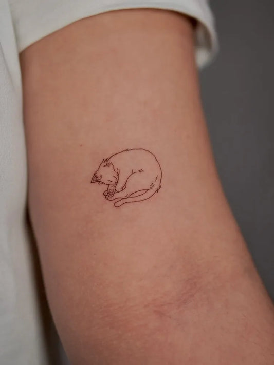 Small Minimalist Sleeping Cat on Women Arm Tattoo by @lali.tatts