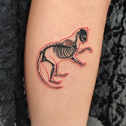 Small Neotraditional Skeleton Cat Tattoo on Women Arm by @ink.drasill