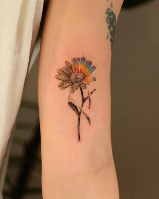 Small Rainbow Daisy Tattoo on Women Arm by @zake_tattoopeople