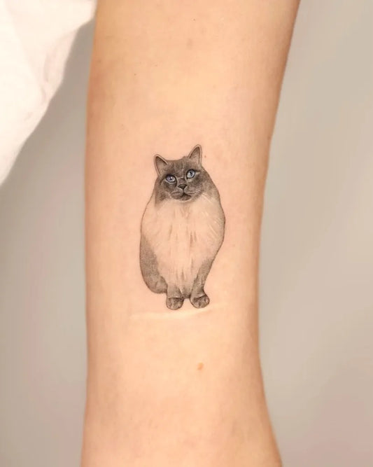 Small Realism Cat Tattoo on Women Arm by @jiji.tattoos