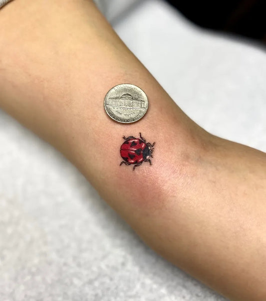 Small Realism Ladybug Tattoo on Women Arm by @kinamay.ink
