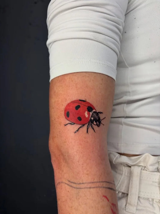 Small Realism Ladybug Tattoo on Women Arm by @taterka_v_bile