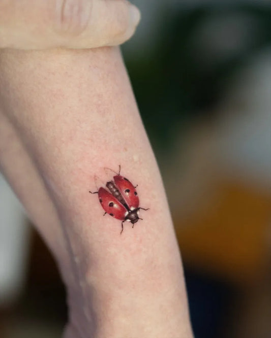 Small Realism Ladybug Tattoo on Women Arm by @vinivlj