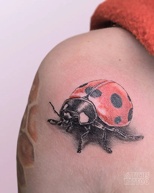 Small Realism Ladybug Tattoo on Women Shoulder by @atticustattoo