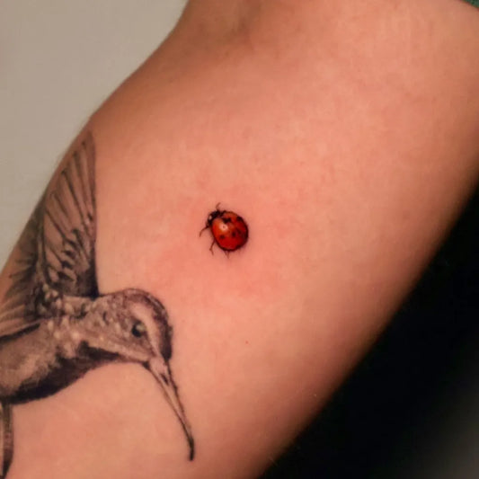 Small Realism Ladybug and Hummingbird Tattoo on Women Arm by @tat.art__