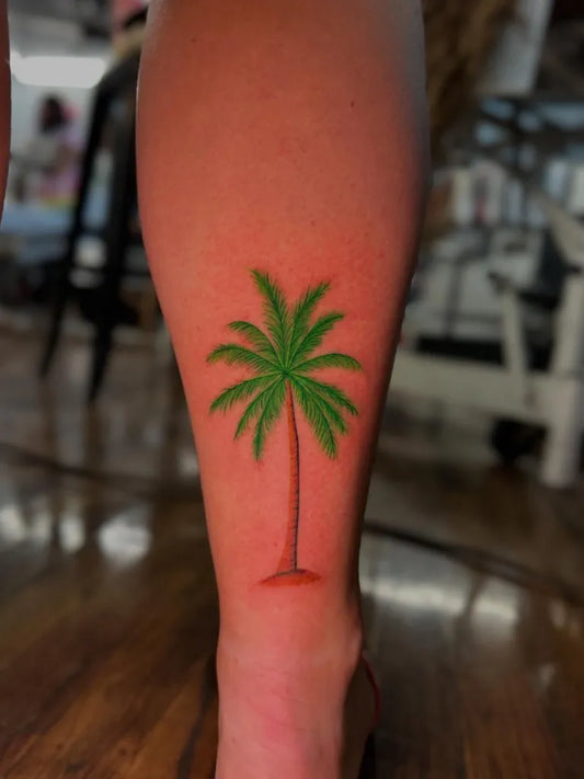 Small Realism Palm Tree Tattoo on Women Leg by @lokiar.tz