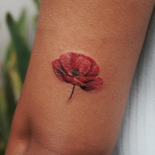 Small Realism Poppy Tattoo on Women Arm by @nesrinkaraa_