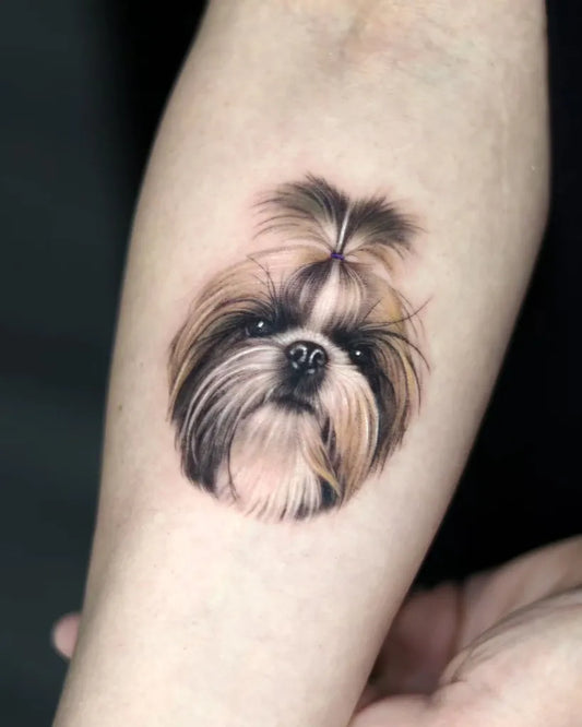 Small Realism Shih Tzu Dog Tattoo on Women Arm by @cien_ink