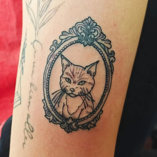 Small Traditional Cat in Frame Tattoo on Women Arm by @witch_kitsch