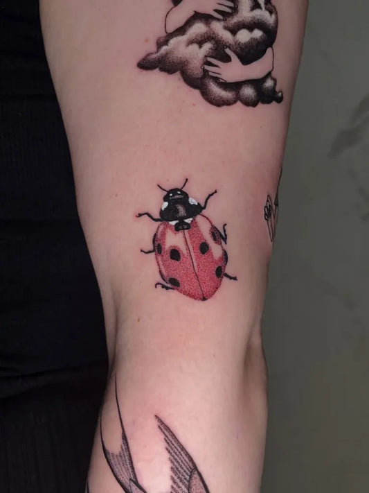 Small Traditional Ladybug and Swallow Tattoo on Women Arm by @cirrus.ink