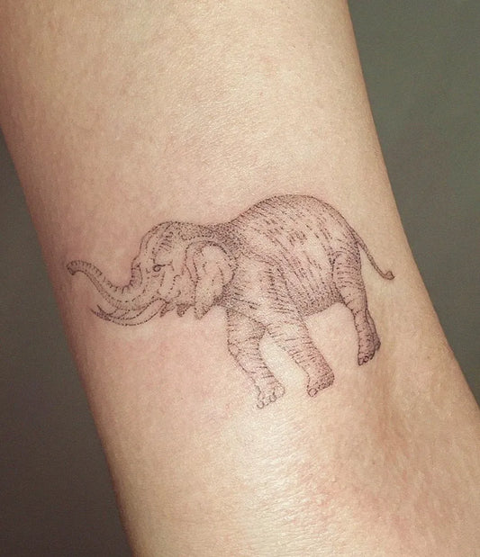 Small Woodcut Elephant Tattoo on Women Forearm by @sein_poke