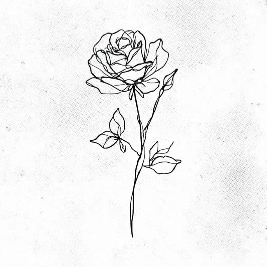 fine line rose tattoo idea design drawing stencil png