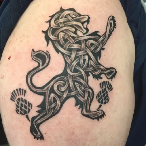 celtic lion tattoo