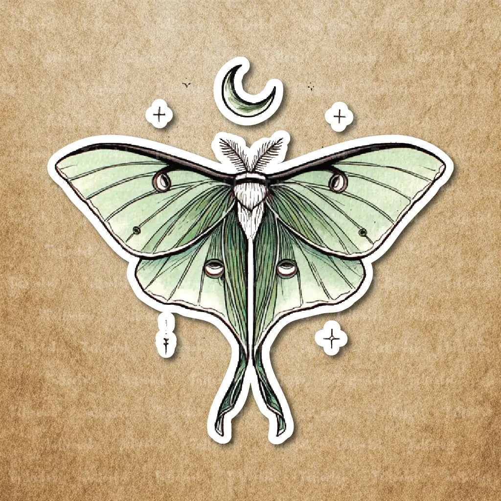luna moth temporary tattoo sticker idea design