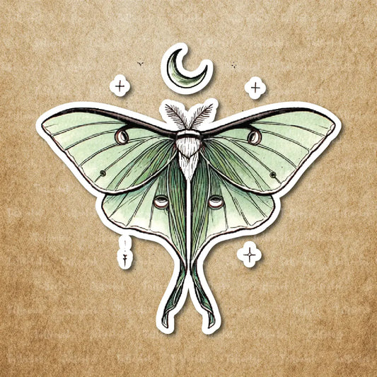 luna moth temporary tattoo sticker idea design