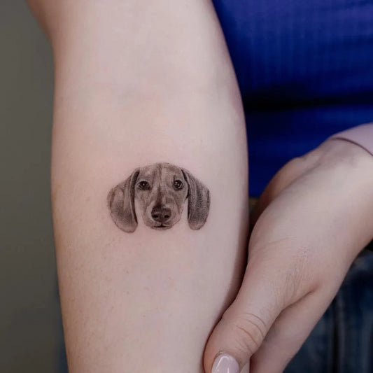 Tiny Black and Grey Dachshund Dog Tattoo on Women Arm by @olivia_tattooist