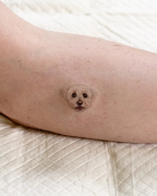 Tiny Fine Line Dog Tattoo on Women Arm by @e.ple_tattoo