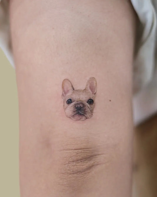 Tiny Fine Line French Bulldog Tattoo on Women Arm by @tattoo.pencil