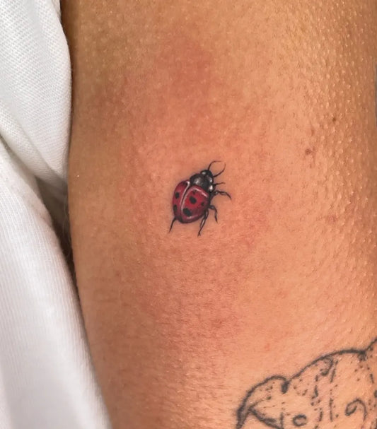 Tiny Fine Line Ladybug Tattoo on Women Arm by @danicorrea.tattoo