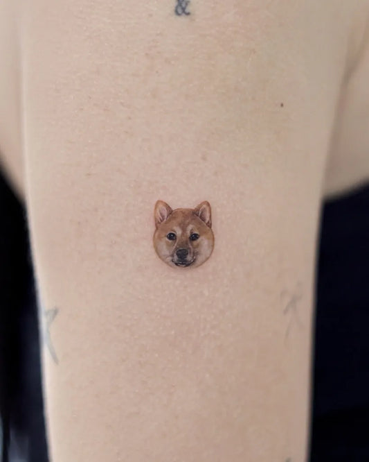 Tiny Fine Line Shiba Inu Dog Tattoo on Women Upper Arm by @tattoo.pencil