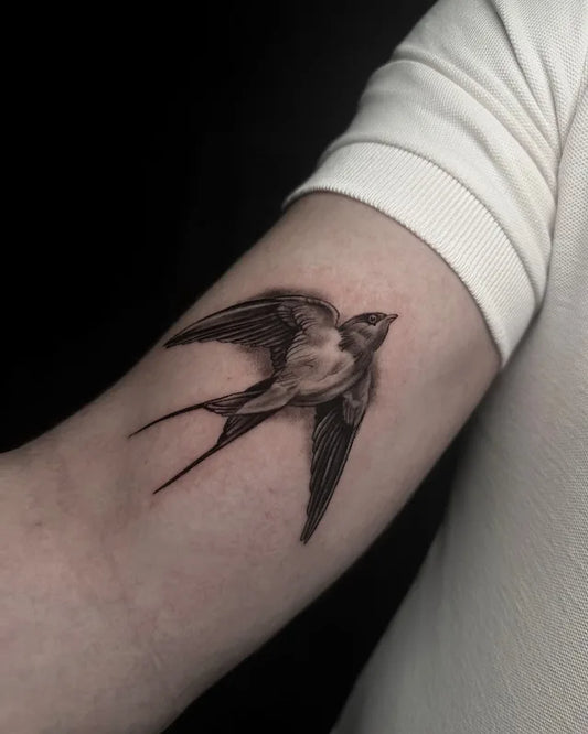 black and grey swallow tattoo on bicep