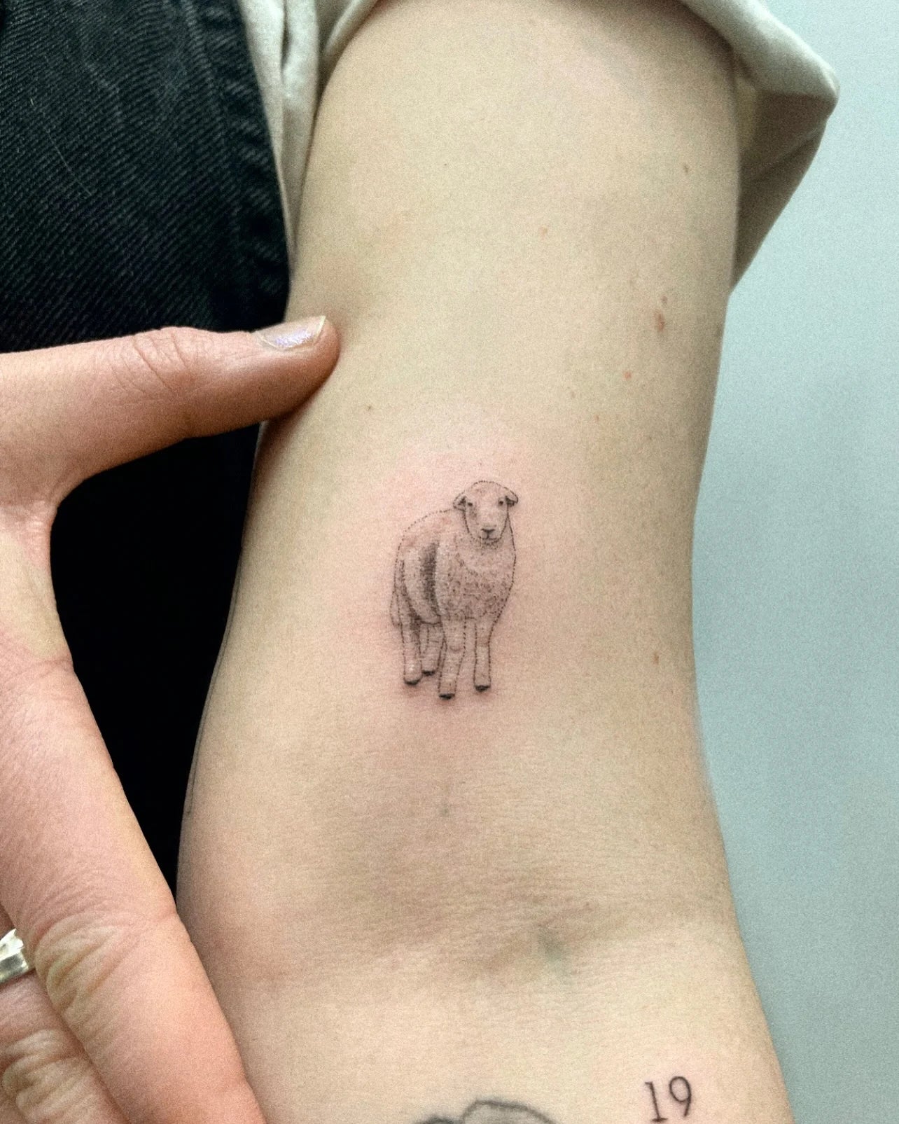 single needle micro realism minimalist sheep tattoo on woman bicep