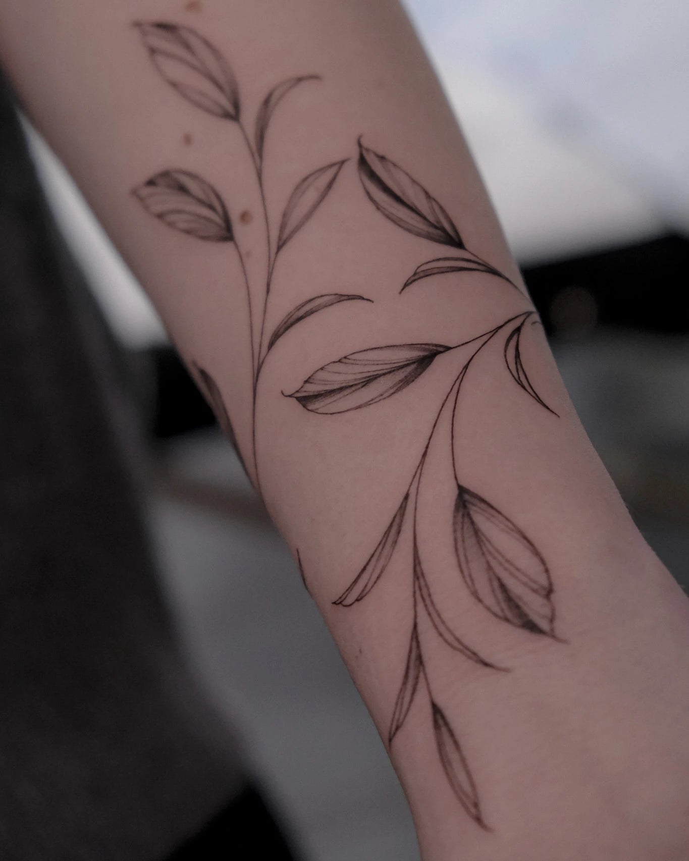 fine line leaf wrap tattoo on woman forearm