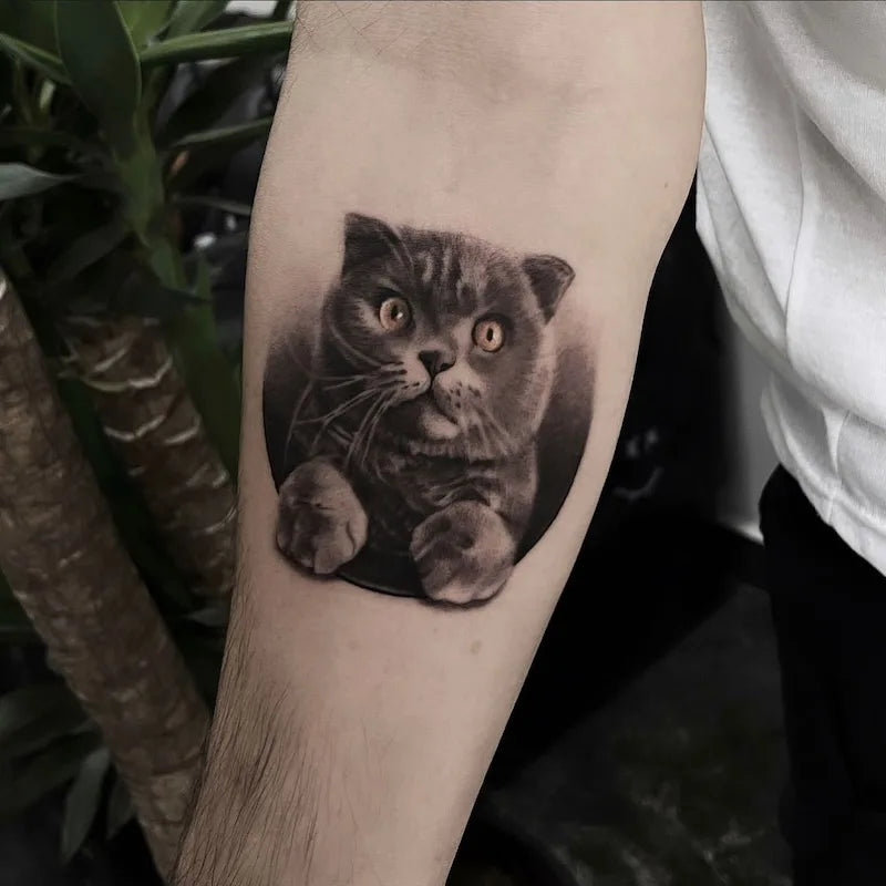 black and grey cat portrait realism tattoo on arm
