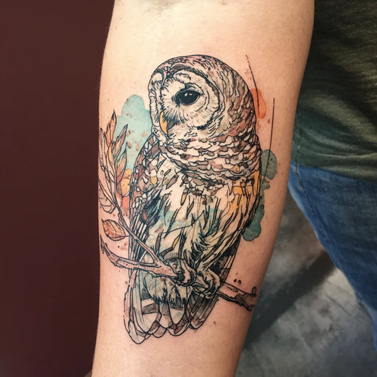 Barred Owl On Branch Tattoo