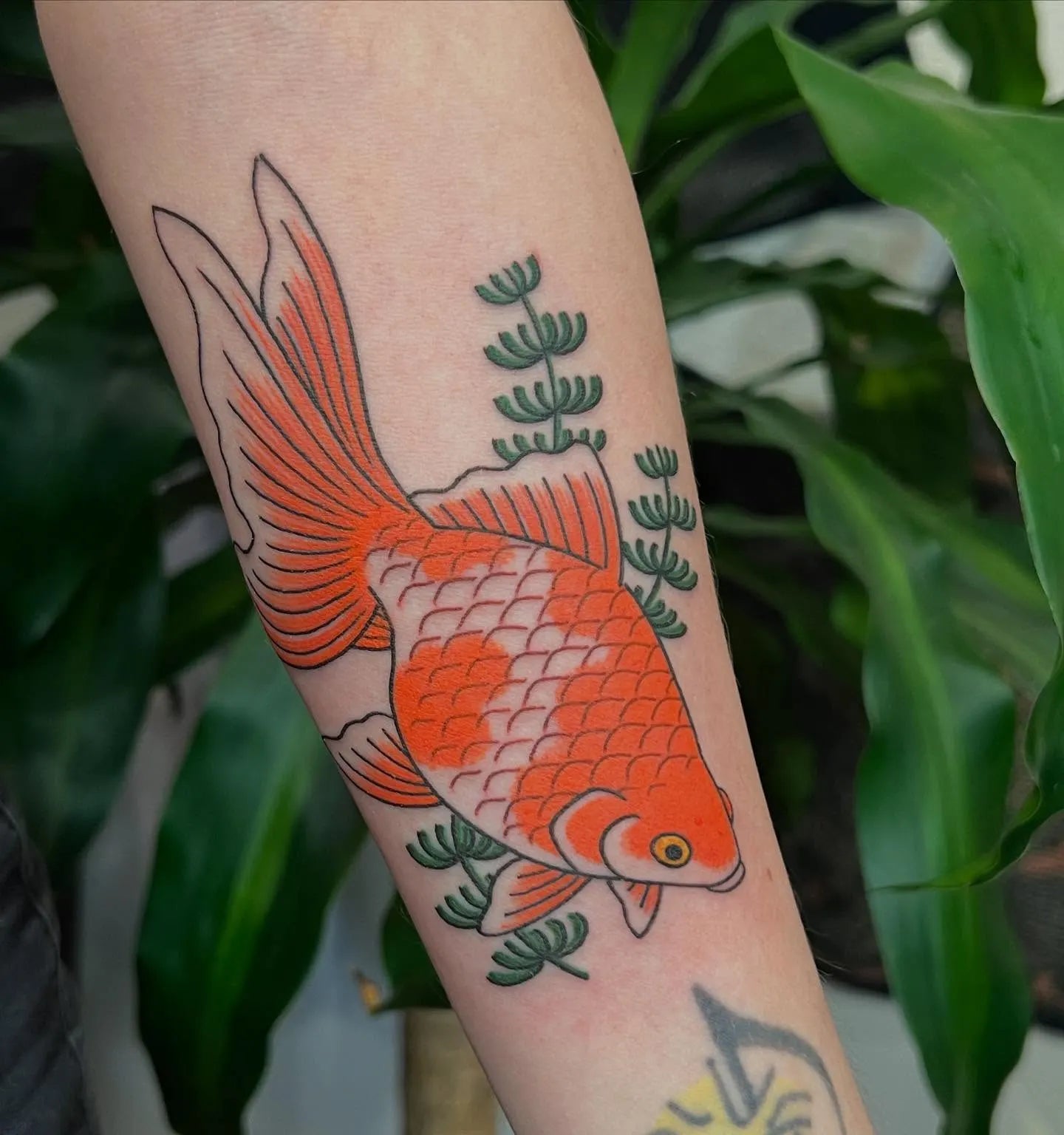 japanese orange gold fish tattoo on forearm