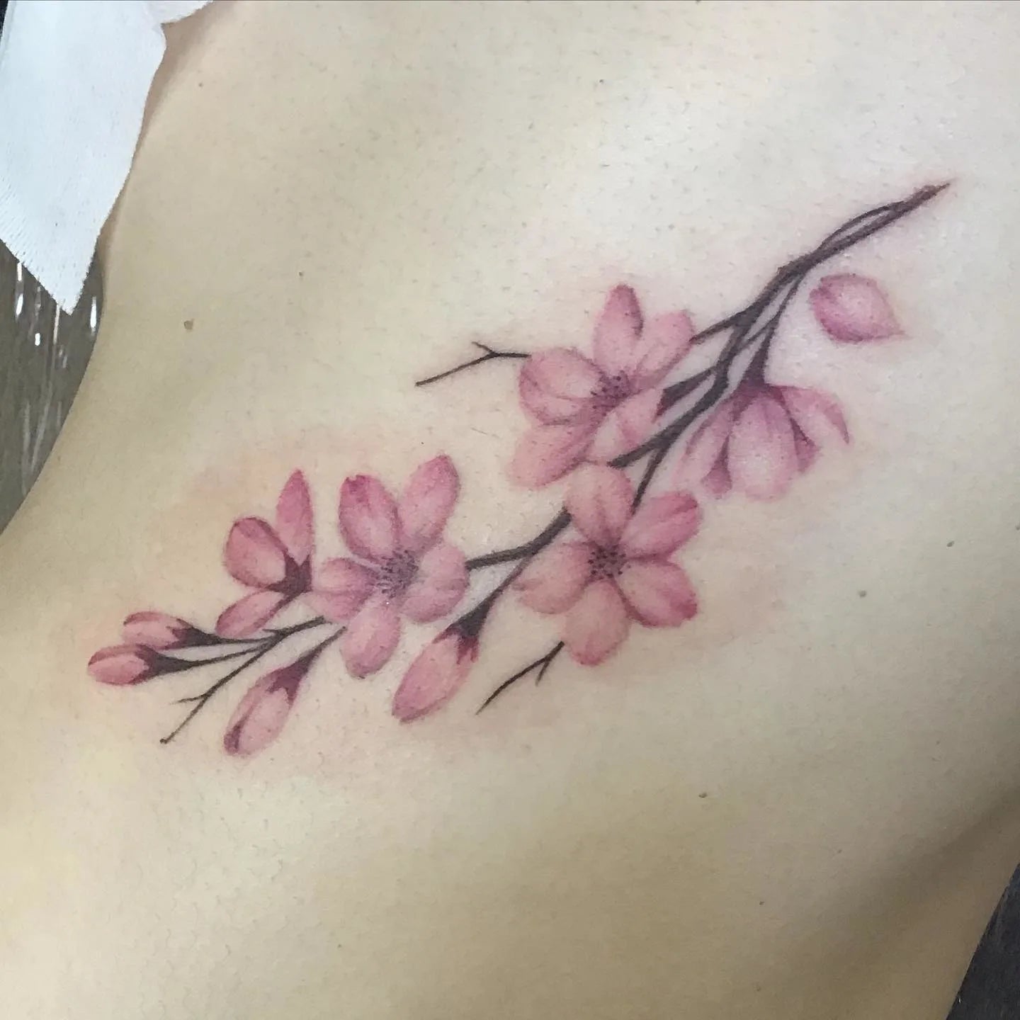 Tattoo of a cherry blossom branch