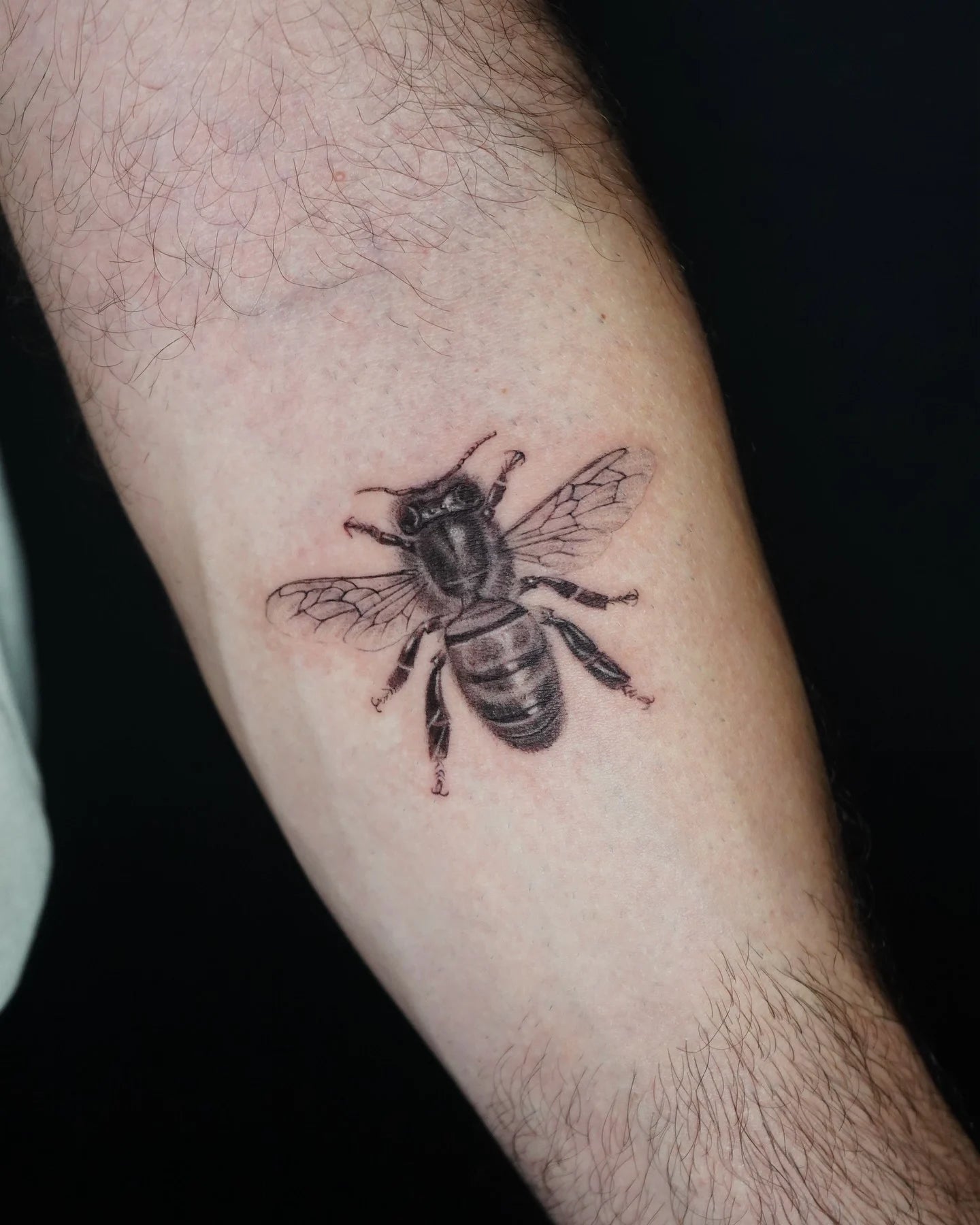 realistic bee tattoo on man forearm