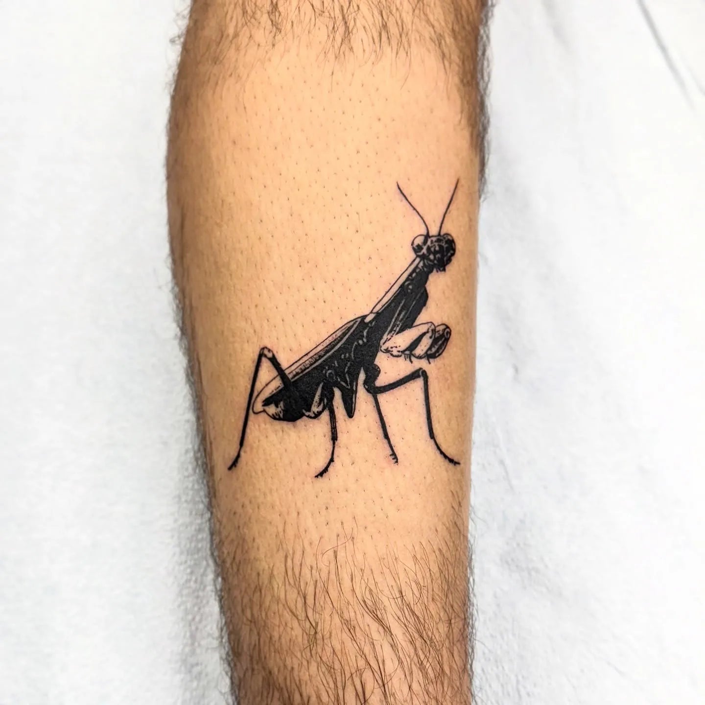 giant ant blackwork leg tattoo