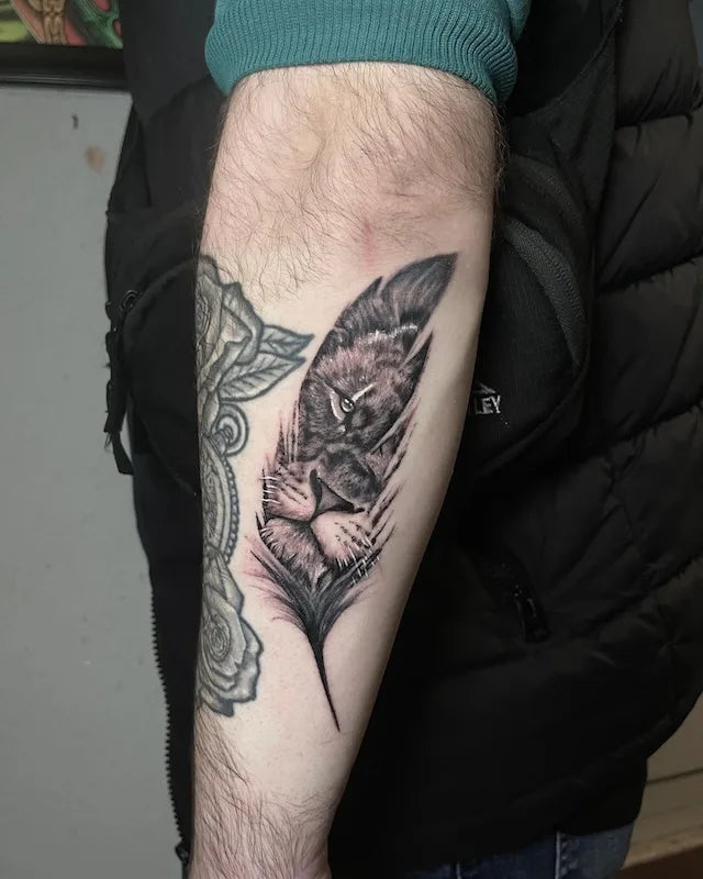 lion in feather frame black and grey tattoo on back forearm