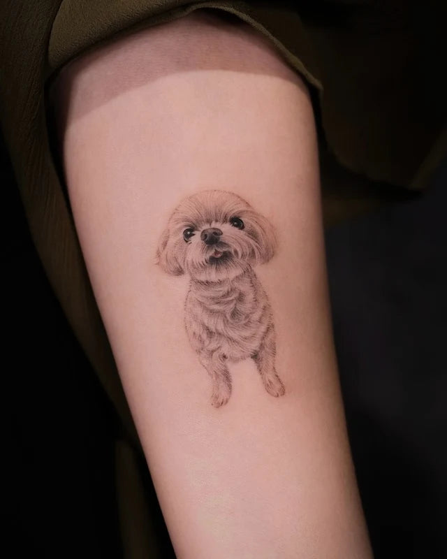 zihlan_tattooist